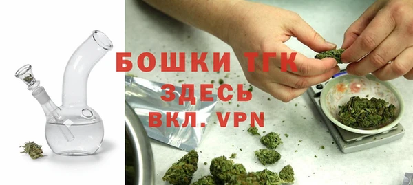 твердый Вяземский