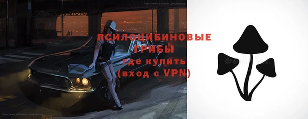 соль ск Вязьма
