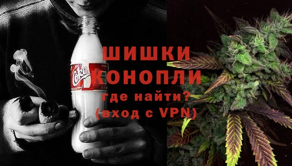 твердый Вяземский